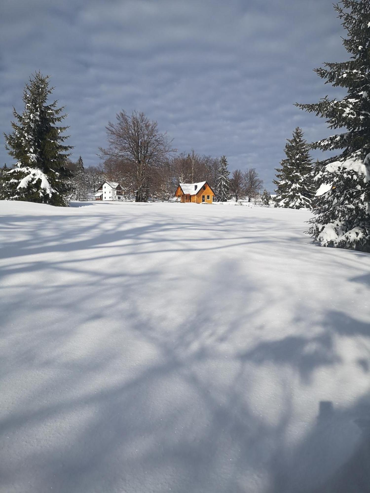 Villa Brvnare Krstigora Zaovine Habitación foto